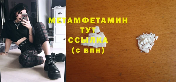 прущие грибы Бронницы