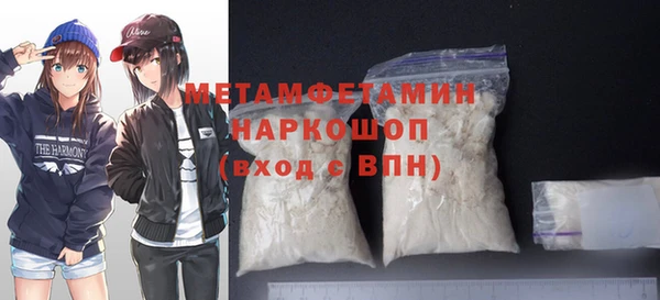 прущие грибы Бронницы