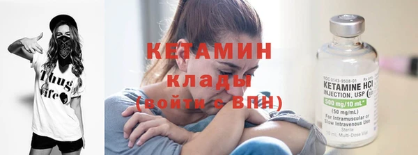 прущие грибы Бронницы