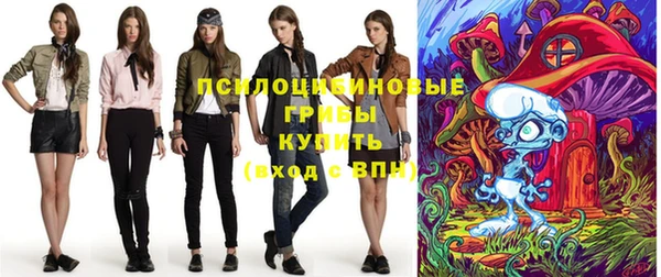 прущие грибы Бронницы