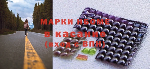 прущие грибы Бронницы