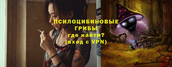 ПСИЛОЦИБИНОВЫЕ ГРИБЫ Бугульма